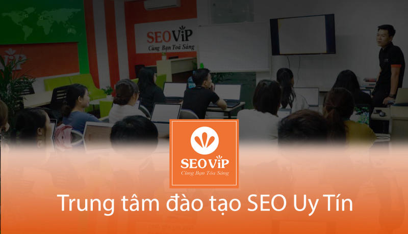 Giới thiệu về SEOViP và khóa học SEO